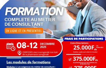 WhatsApp Image 2025-10-14 à 11.33.33_a17047b4 formation complète au métier de consultant